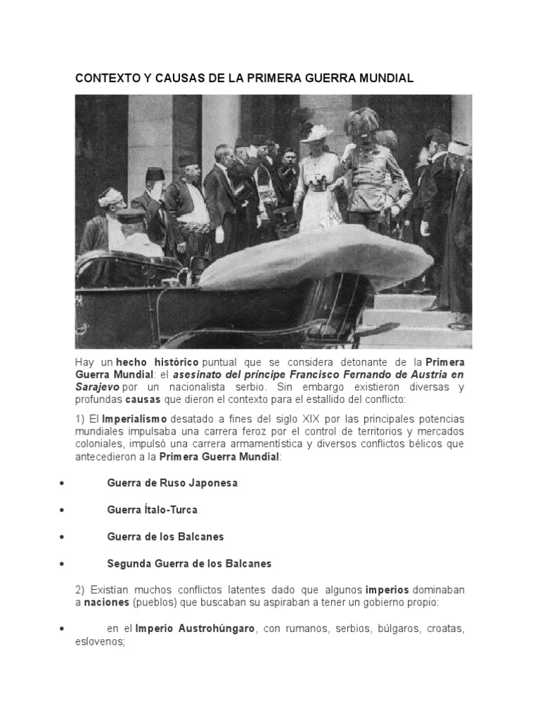 Causas y Desarrollo de la Primera Guerra Mundial | PDF | Primera Guerra ...