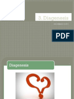 3 - Diagenesis