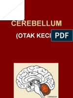 Cerebellum