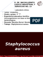 Staphylococcus o .Ppt2