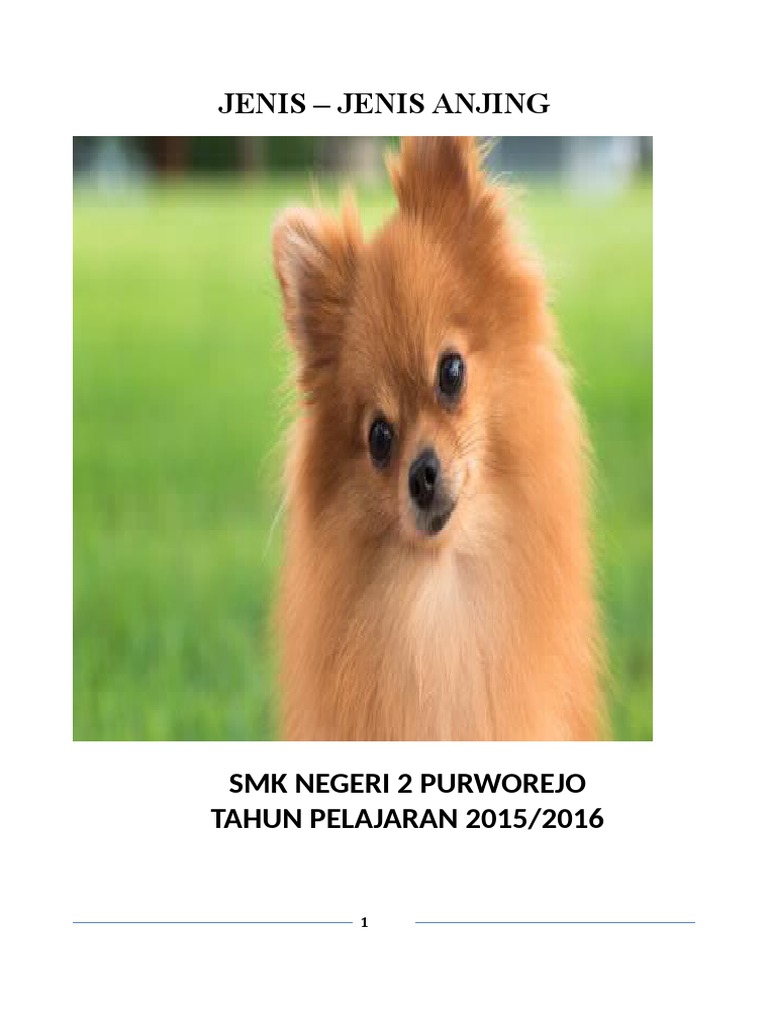 Gambar Penggembala Domba Kartun - Tentang Kolam Kandang Ternak