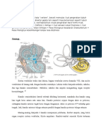 Referat Vertigo