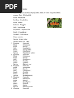 Download KLASIFIKASI KUPU by Fitria Rachma SN312755866 doc pdf