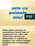 Animale Mici in Custe