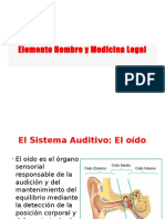Elemento Hombre y Medicina Legal3 - El sistema auditivo
