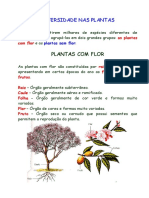 Diversidadenasplantas PDF