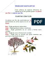 diversidadenasplantas5º.pdf