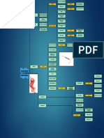 Sangrado Uterino Anormal