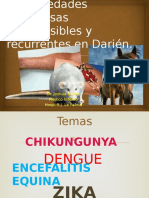 Enfermedades Infecciosas DARIEN