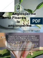 Angiosperme Si Floarea