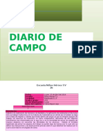 Diario Proyectos