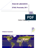 Celso Caldas - Boas Praticas Laboratoriais 2011 - parte1.pdf
