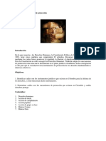 modulo_9_mecanismos_de_proteccion.pdf