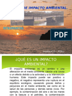 IMPACTO AMBIENTAL