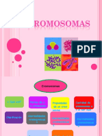 cromosomas