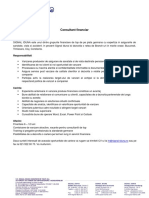 Consultant Financiar PDF