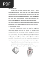 Download Fraktur Patella by ArifHidayat SN312830704 doc pdf