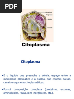 Citoplasma PDF