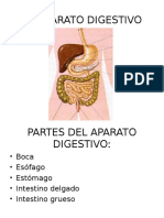 EL APARATO DIGESTIVO.ppt