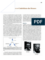 A glicólise e o catabolismo das hexoses.pdf