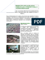 Cadena_de_plantas_Aromáticas.pdf