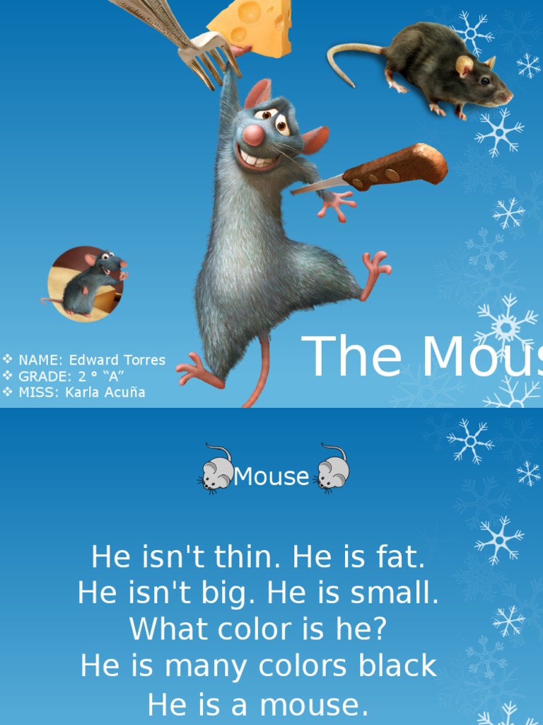Mouse Description for Kids | PDF