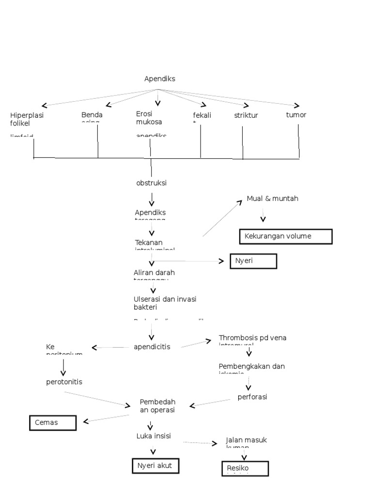Apendiks Pathway | PDF