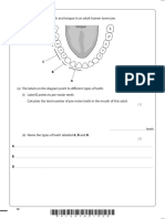 Tongue: 4 The Diagram Shows The Teeth and Tongue in An Adult Human Lower Jaw