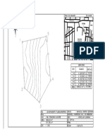 Topo II. Plano Informe 5