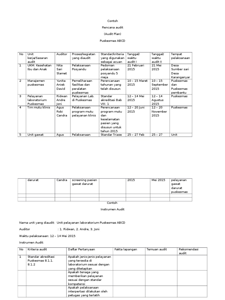 Contoh Laporan Audit Internal Puskesmas Pdf Audit Kinerja