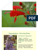 401_05Flowers.pdf