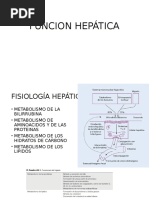 Funcion Hepatica