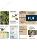 Moringa Brochure