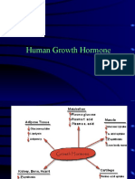 Growth Hormone