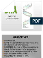 DNA Stucture LE