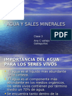 AGUA Y SALES MINERALES.ppt