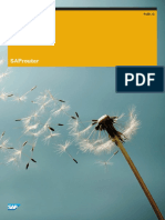 SAP Router Documentation.pdf