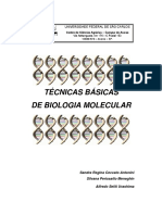 Apostilacurso Molecular