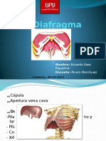 El Diafragma