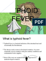 Typhoid Fever