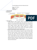 Referat Hernia