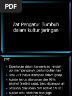 Download zat-pengatur-tumbuh by hendra ari SN31295298 doc pdf