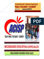 256334050-NECESIDADES-EDUCATIVAS-ESPECIALES.pdf