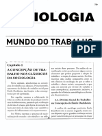 Sociologia - Mundo Do Trabalho 28p - TEXTO