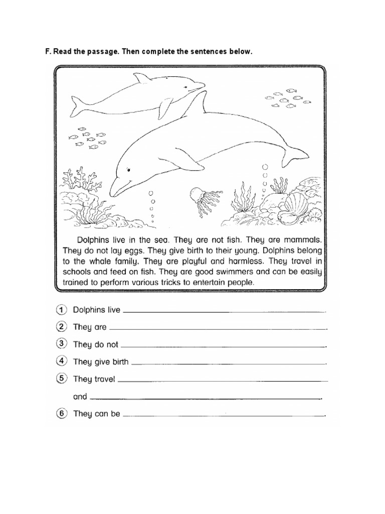 Pronoun and Sentence Completion Exercises | PDF | Language Arts ...