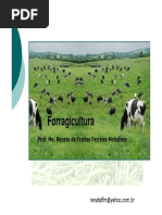 Aula 1- Forragicultura.pdf