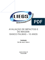 Avaliao de Impactos e Imagem PDF
