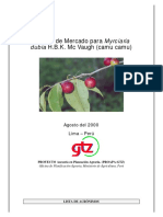 Camu Camu.pdf