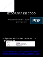 Eco Codo