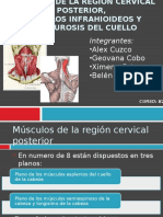 musculosdelaregioncervicalposterior-130213205903-phpapp02